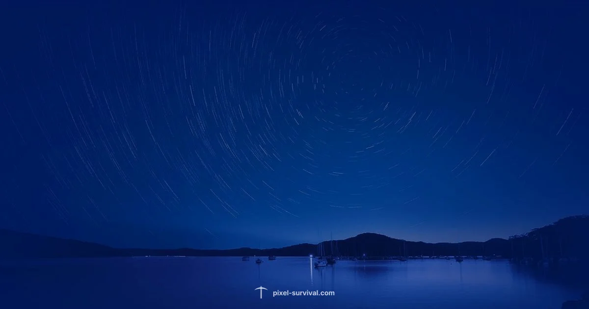 Meteorite Guide - Pixel Survival