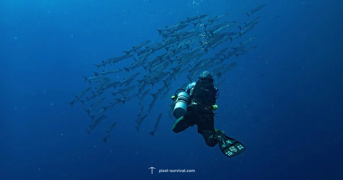 Sunken Sea Guide - Pixel Survival