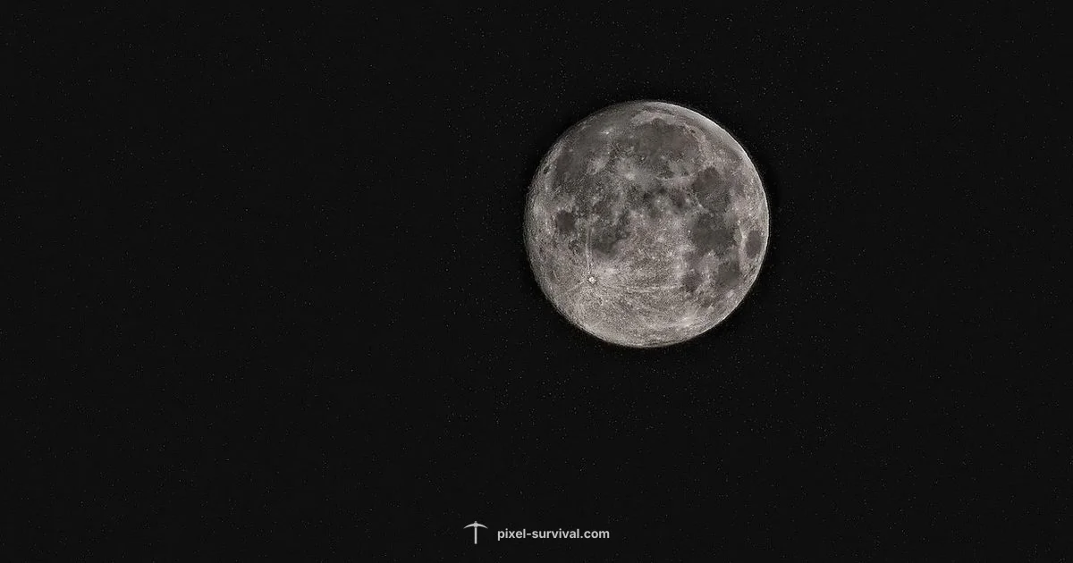 Moon Shell Guide - Pixel Survival