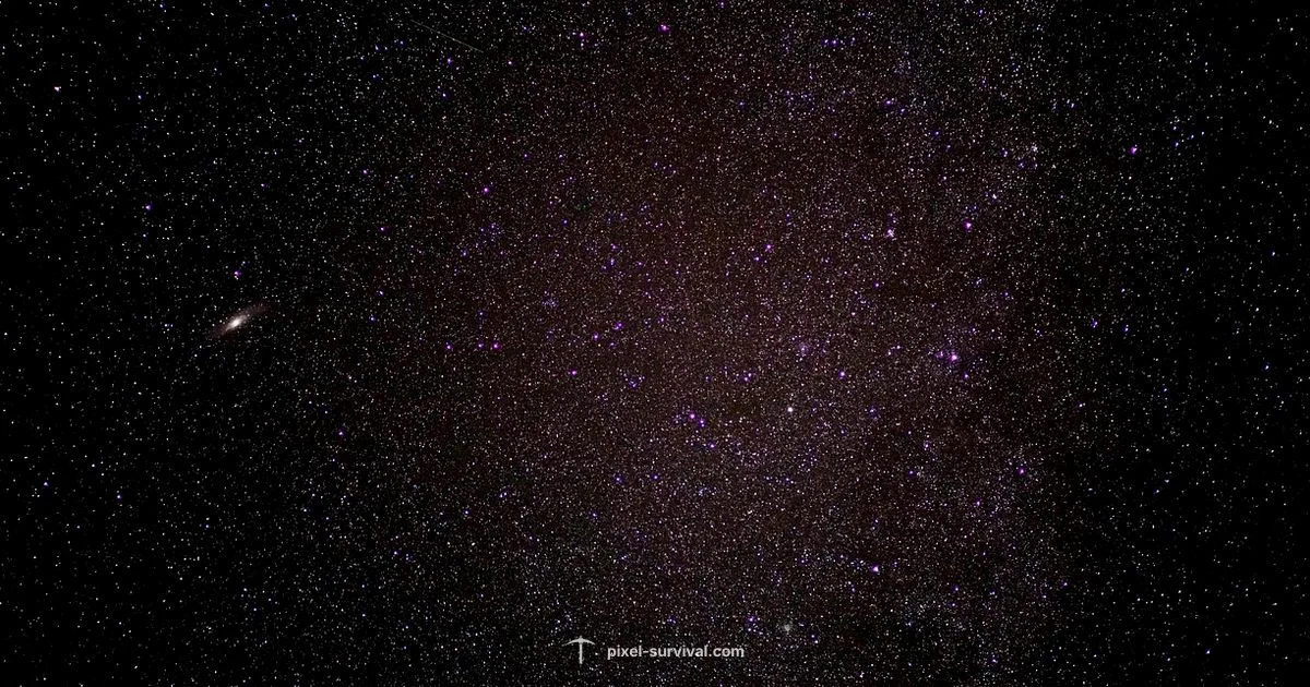 Fallen Stars Guide - Pixel Survival