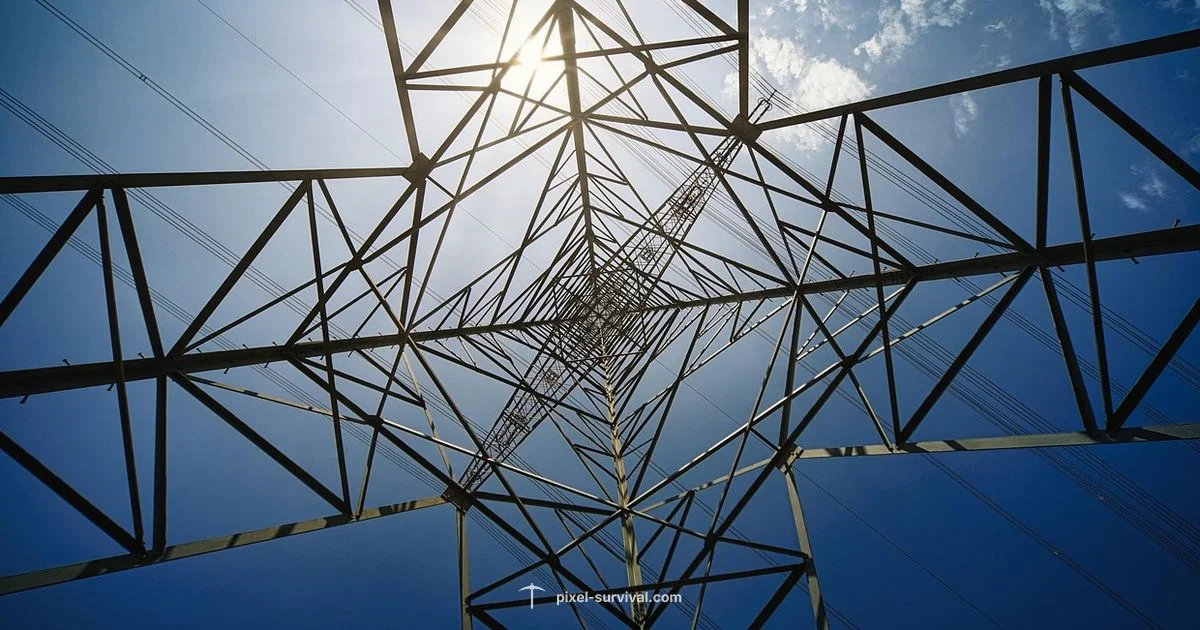 Pylon Network Guide Pylon Network Guide - Pixel Survival