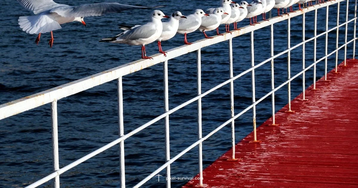 Terraria Texture Pack Creation Terraria Texture Pack Creation - Pixel Survival