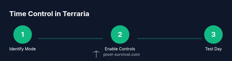 Infographic showing a 3-step process for time control in Terraria