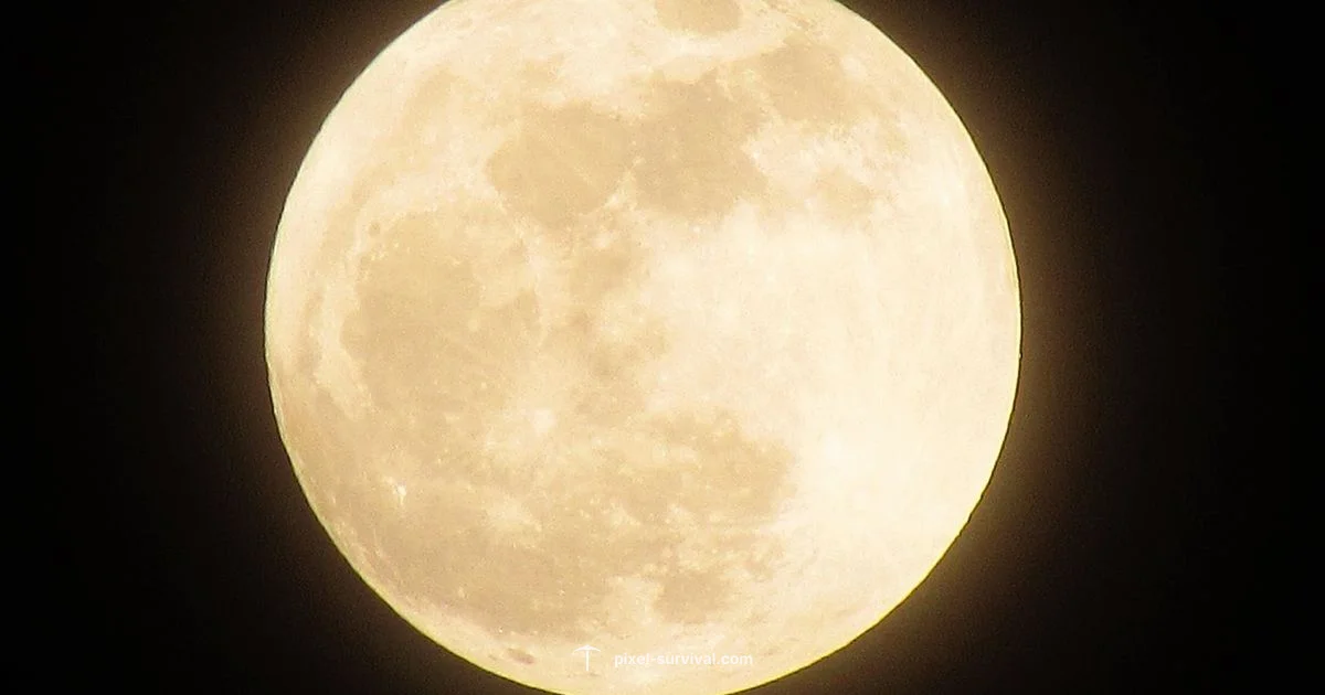 Full Moon Prep - Pixel Survival