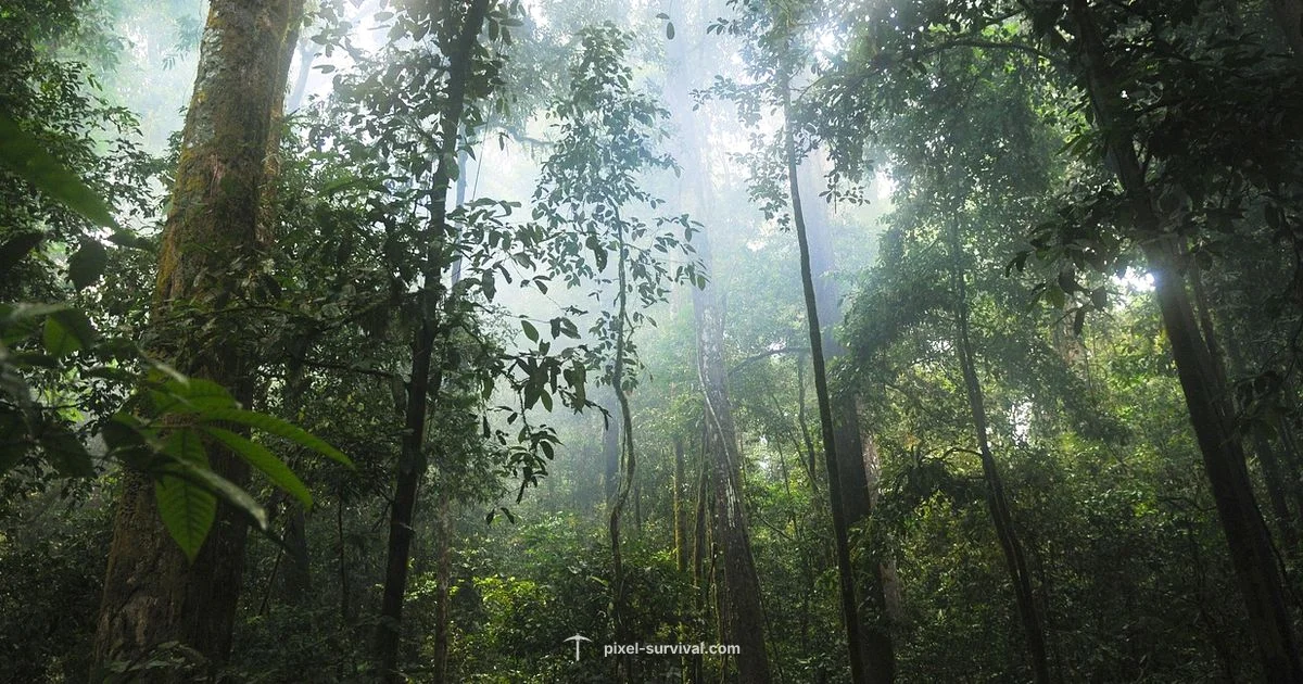 Jungle Seed Guide - Pixel Survival