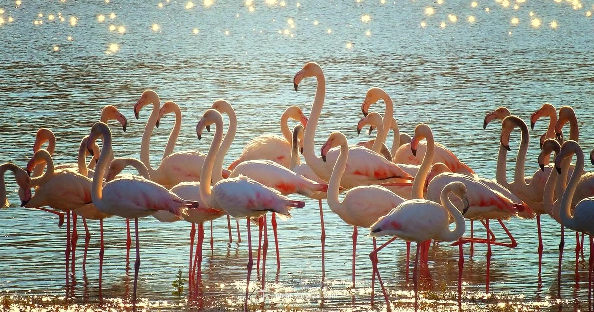 Terraria Shimmer Guide - Pixel Survival