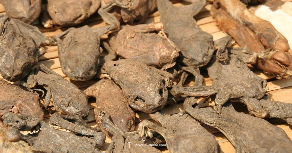 Terraria Voodoo Guide - Pixel Survival