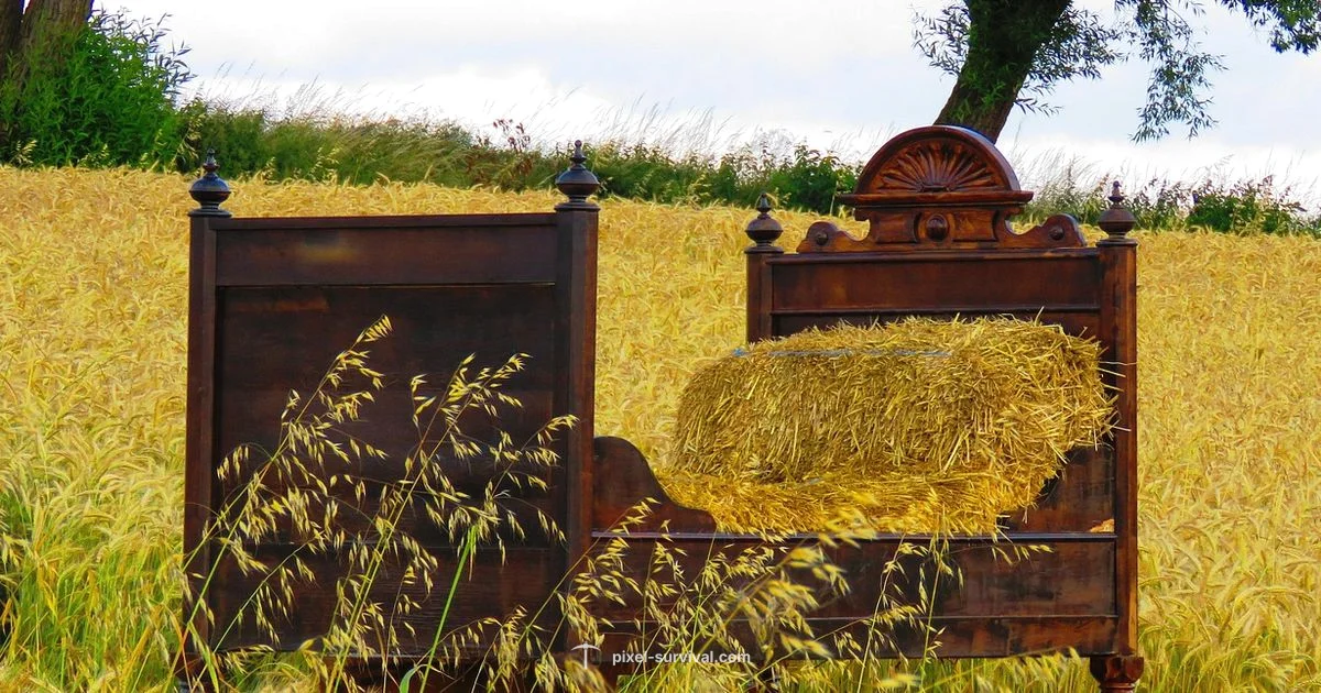 Spawn Point Setup - Pixel Survival