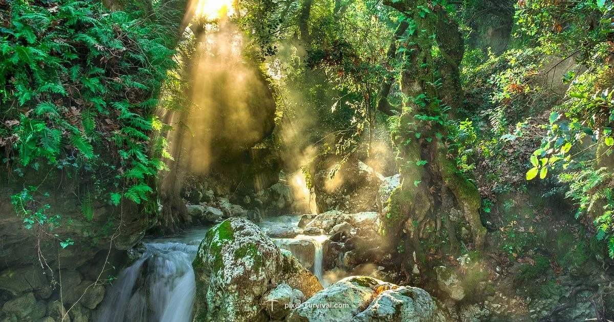 Jungle Crate Guide - Pixel Survival