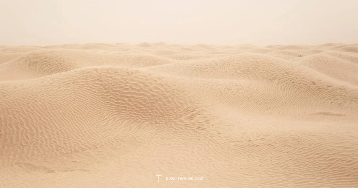 Desert Sand Guide - Pixel Survival