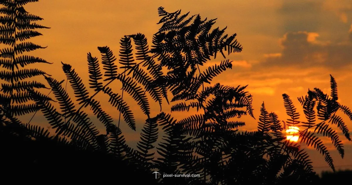 Dawn Start Strategy - Pixel Survival