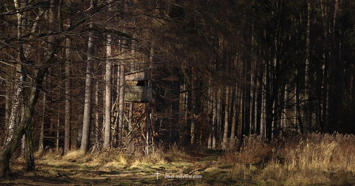 Forest House Build Forest House Build - Pixel Survival