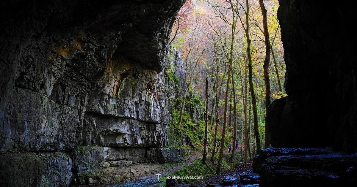 Start Terraria Palworld - Pixel Survival