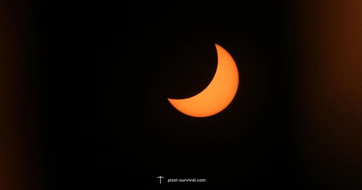 Eclipse Timing - Pixel Survival