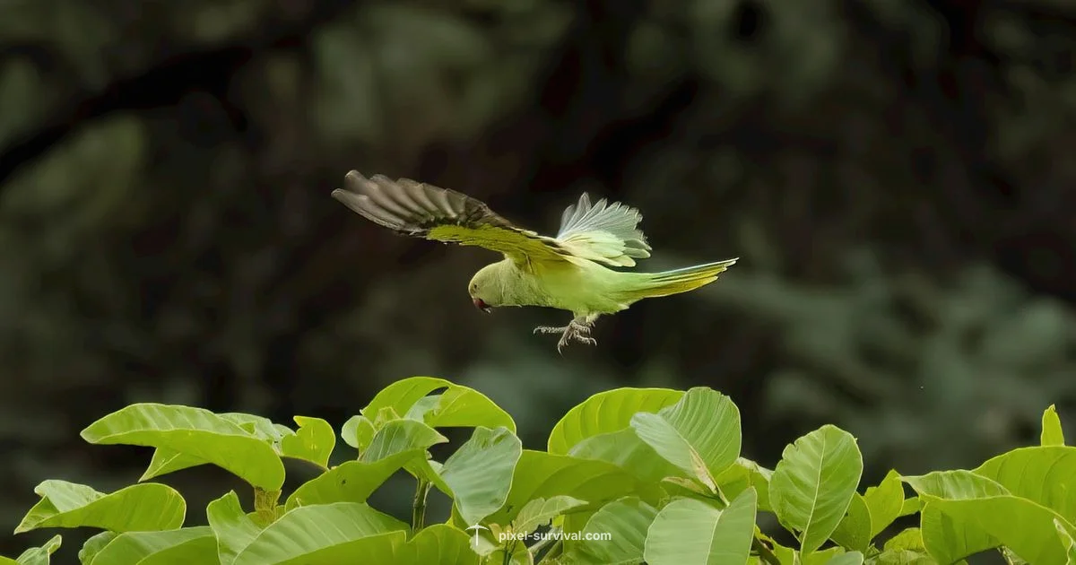 Terraria: Best Game Ever - Pixel Survival