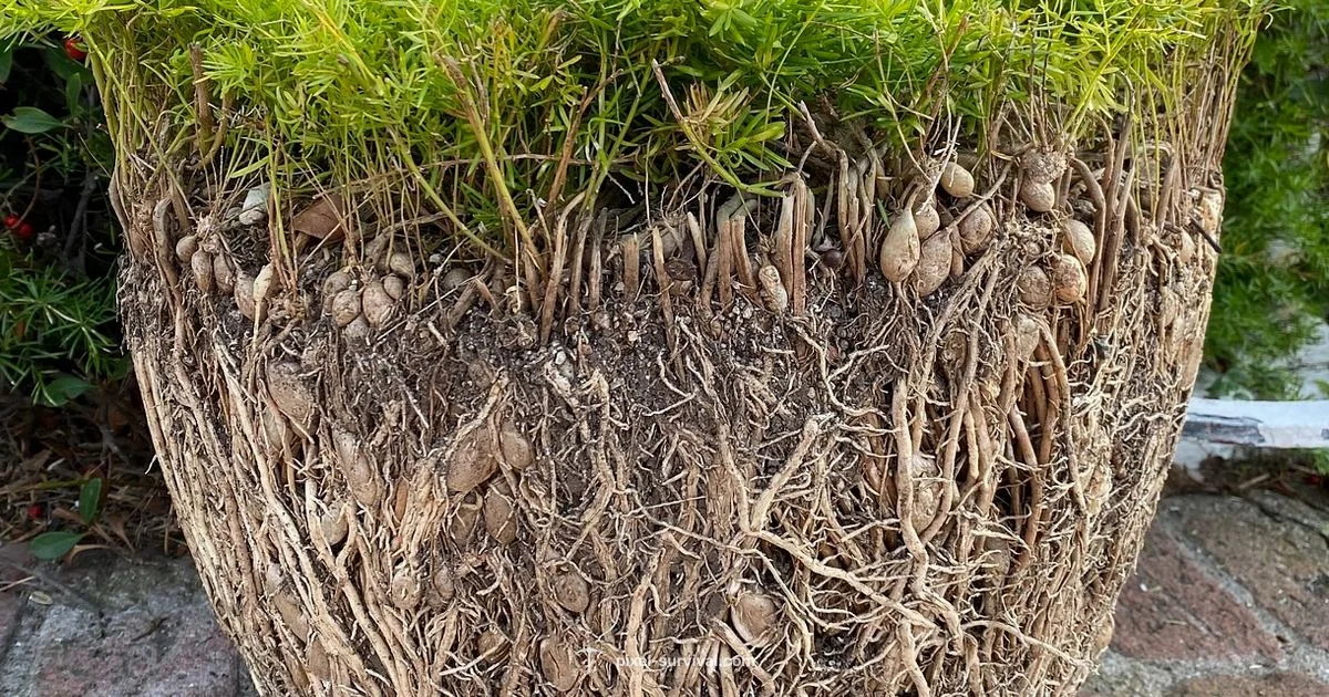 Terraria Farming Guide Terraria Farming Guide - Pixel Survival