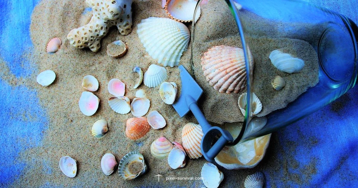 Celestial Shell Guide - Pixel Survival