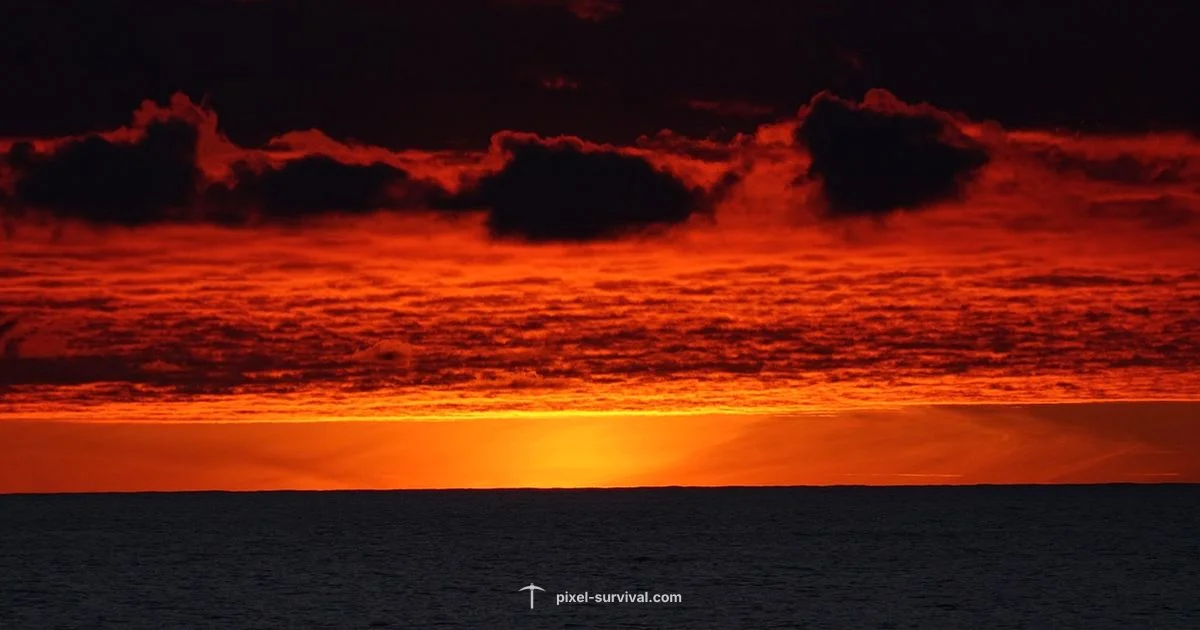 Terraria Progression - Pixel Survival