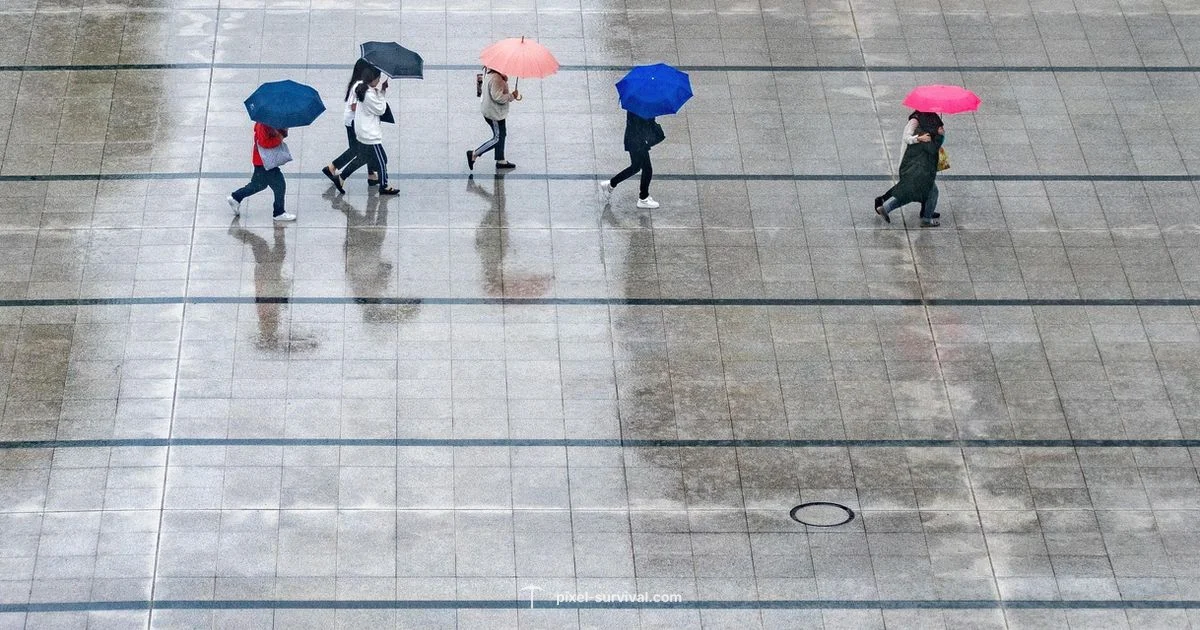 Rainy Terraria - Pixel Survival