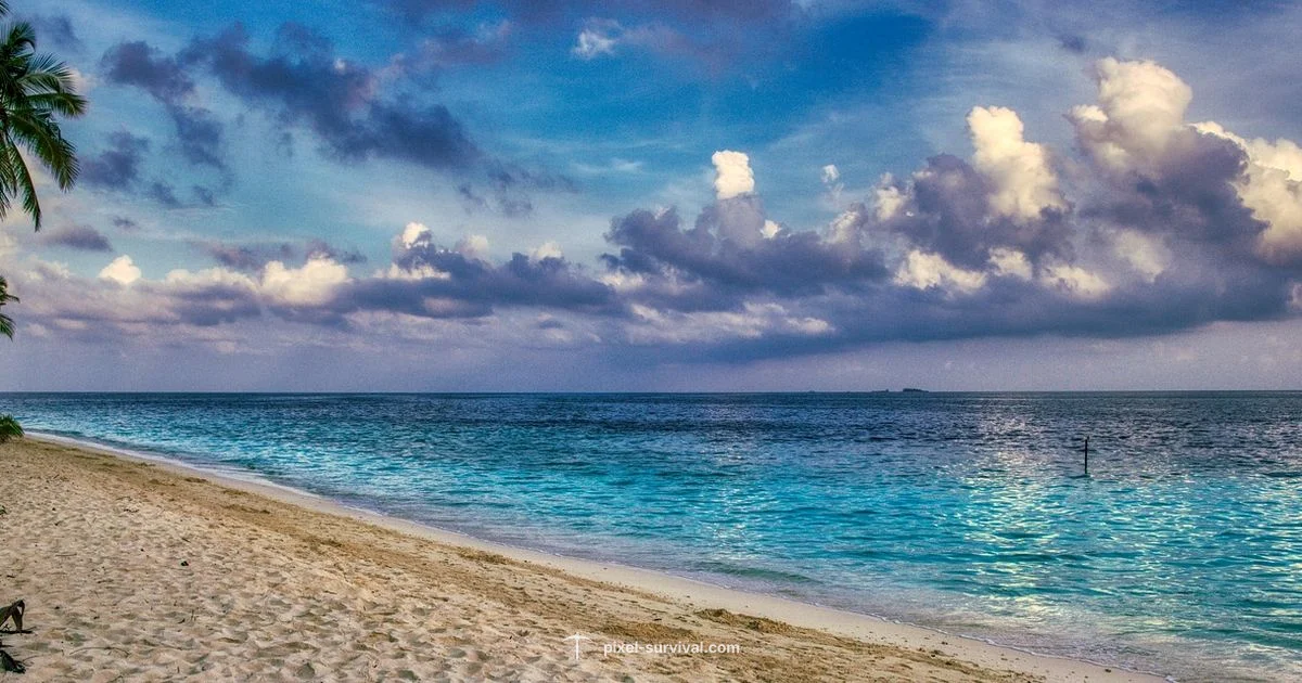 Beach Progression - Pixel Survival