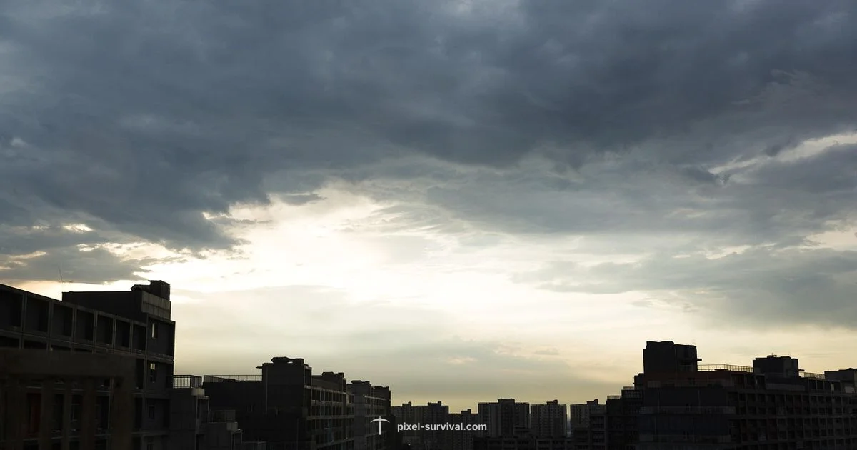 Why Terraria Wins Why Terraria Wins - Pixel Survival