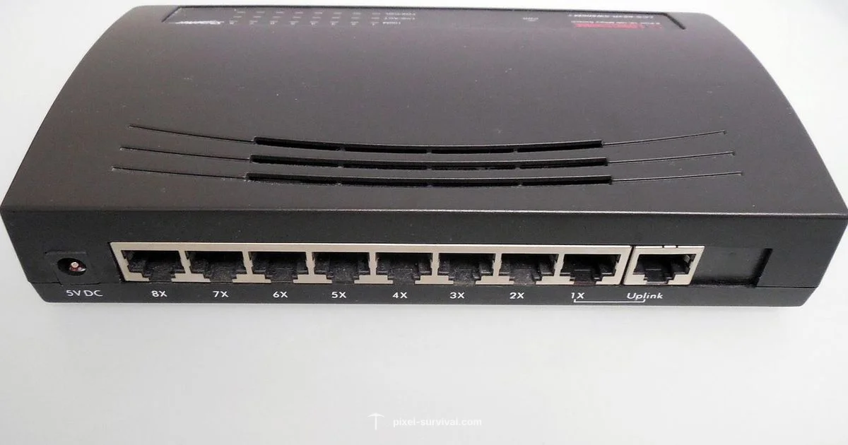 Port Forward Guide - Pixel Survival