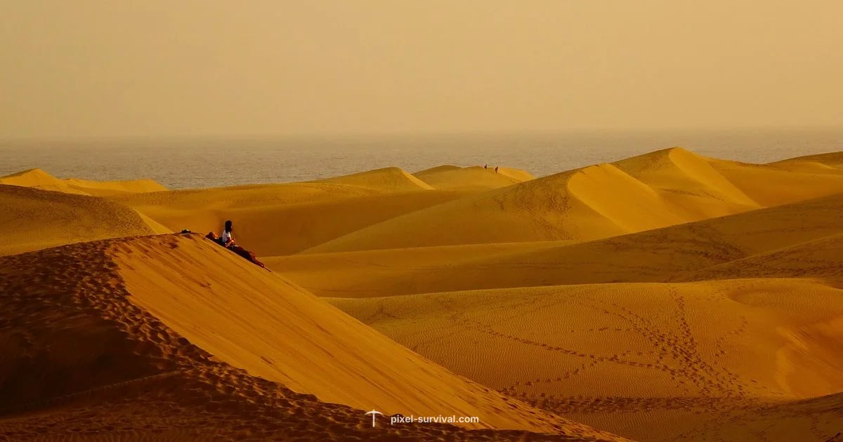 Corruption Guide - Pixel Survival