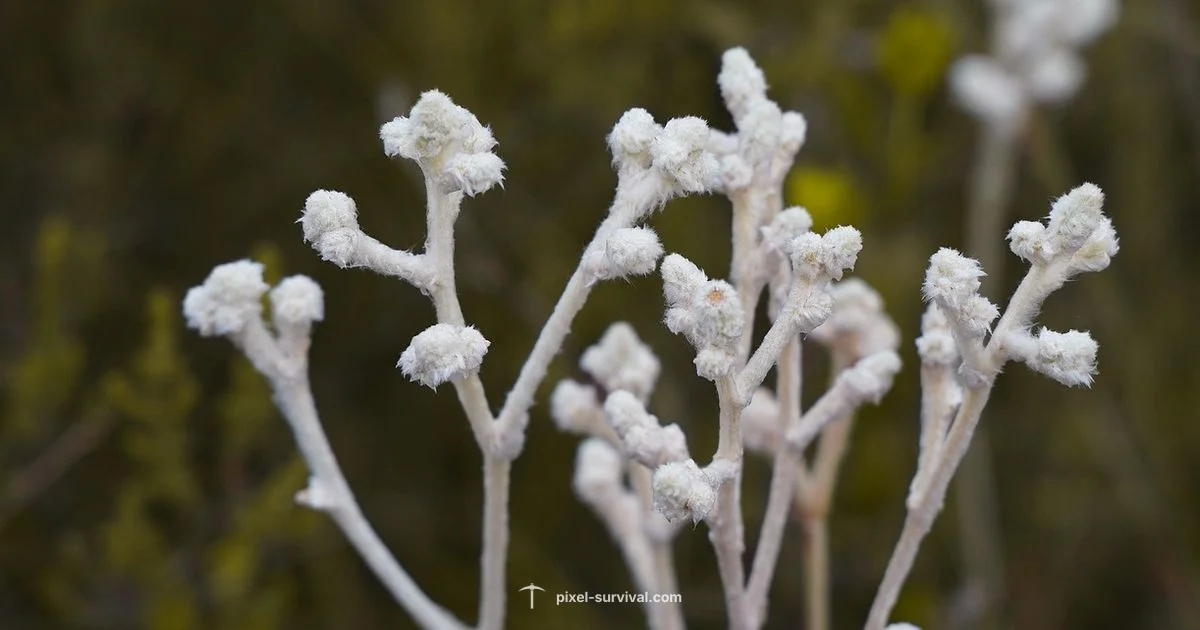 Biome Backdrops in Terraria - Pixel Survival
