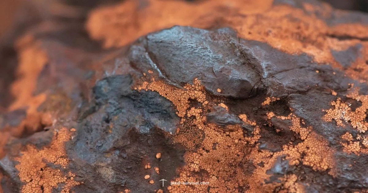 Titanium Look Guide - Pixel Survival