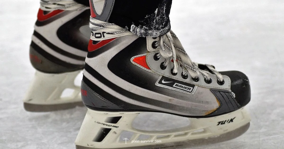 Ice Skates Mobility - Pixel Survival