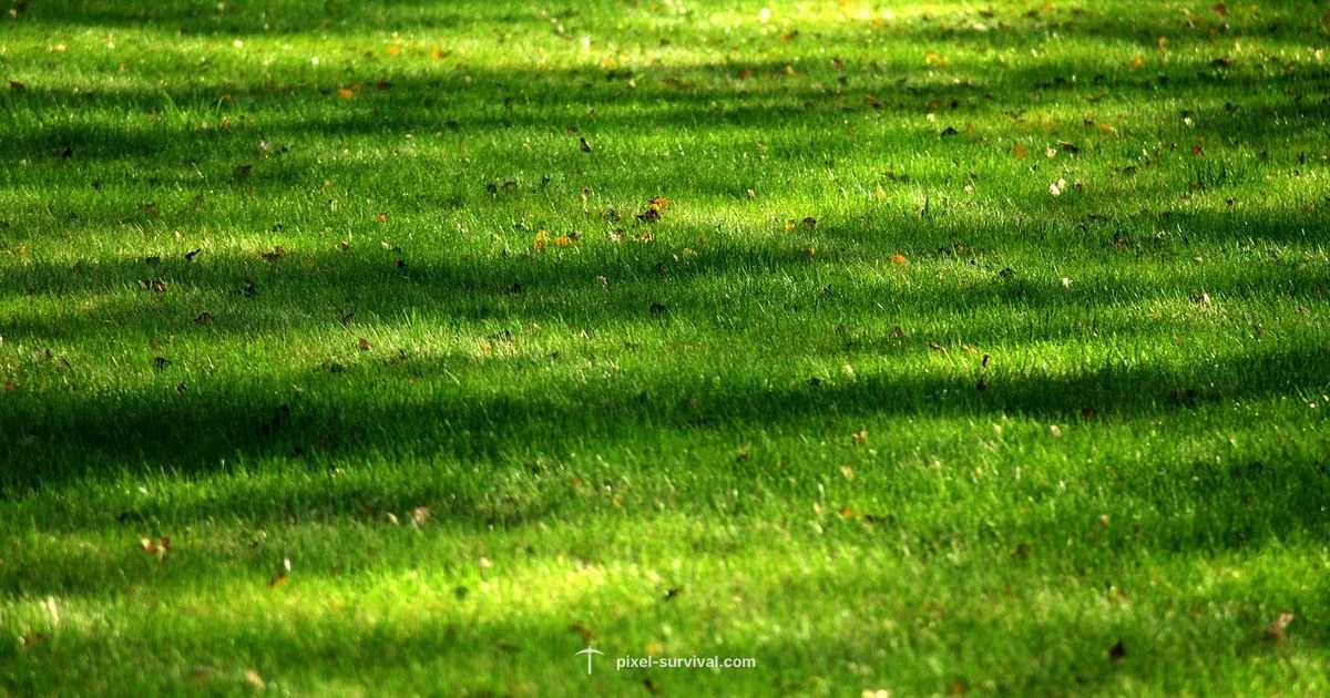 Blade of Grass Guide - Pixel Survival