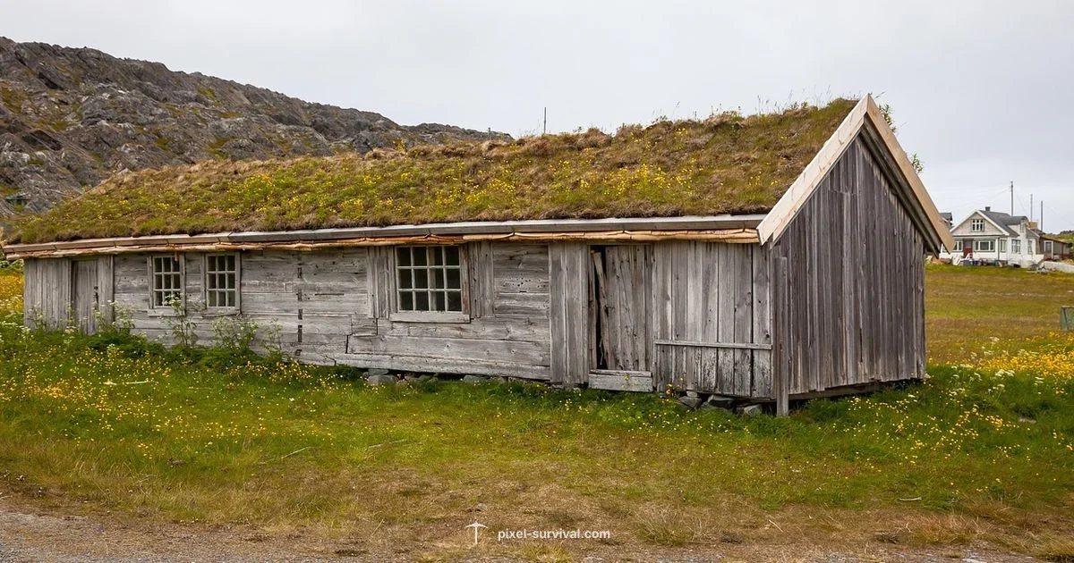 Place in Terraria - Pixel Survival