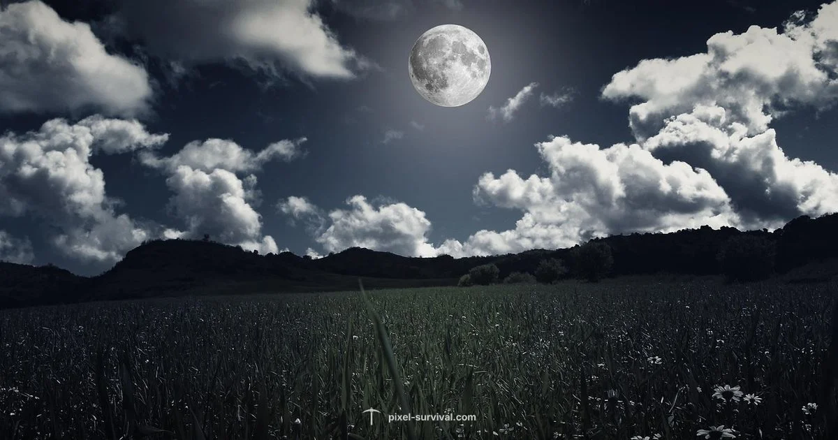 Moon Stone Guide - Pixel Survival