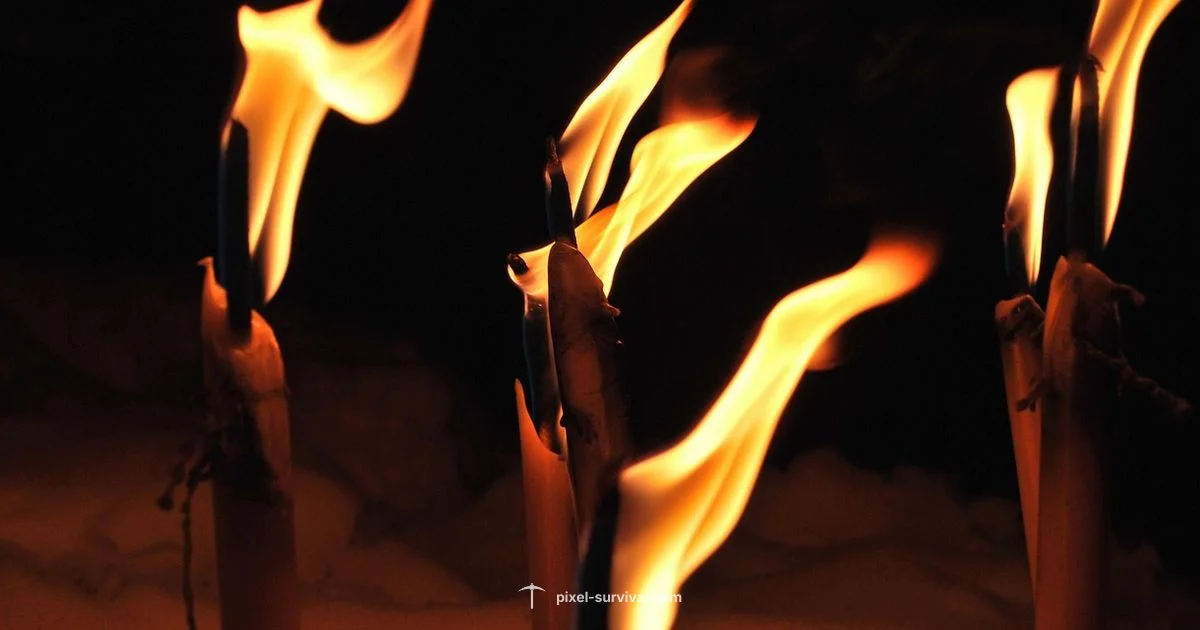 Terraria vs Starbound - Pixel Survival