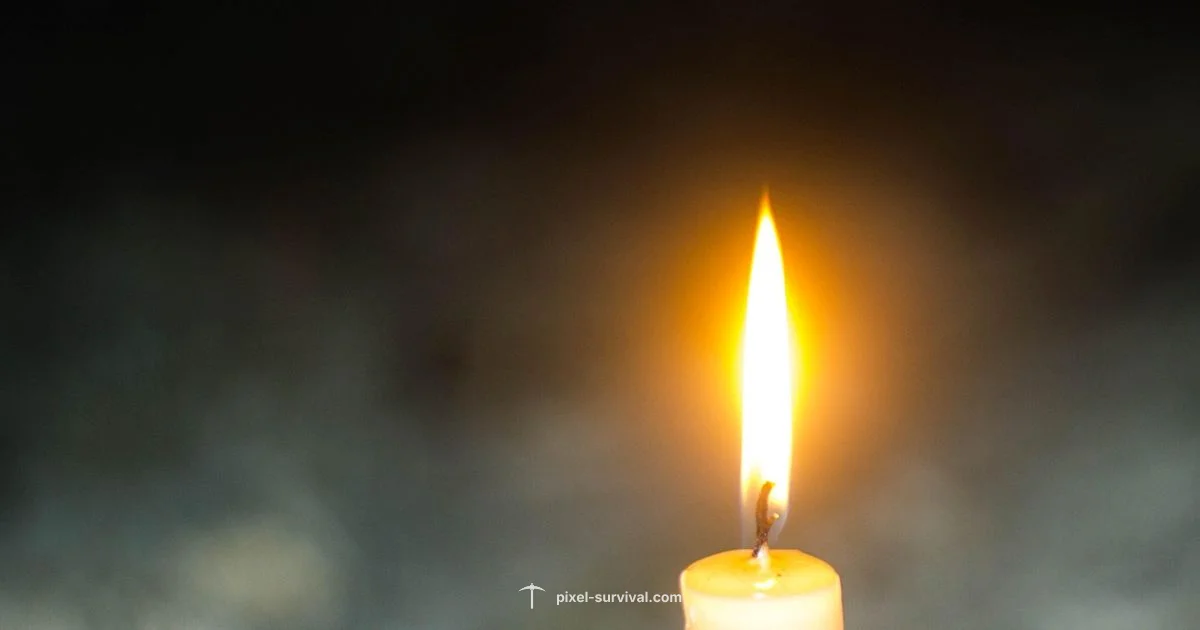 Ectoplasm Farming Ectoplasm Farming - Pixel Survival