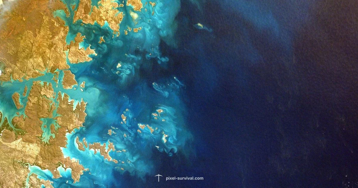 World Size Overview World Size Overview - Pixel Survival
