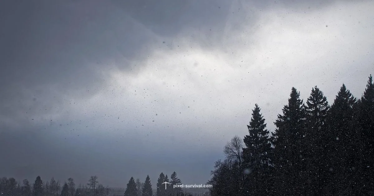 Blizzard Frequency Blizzard Frequency - Pixel Survival