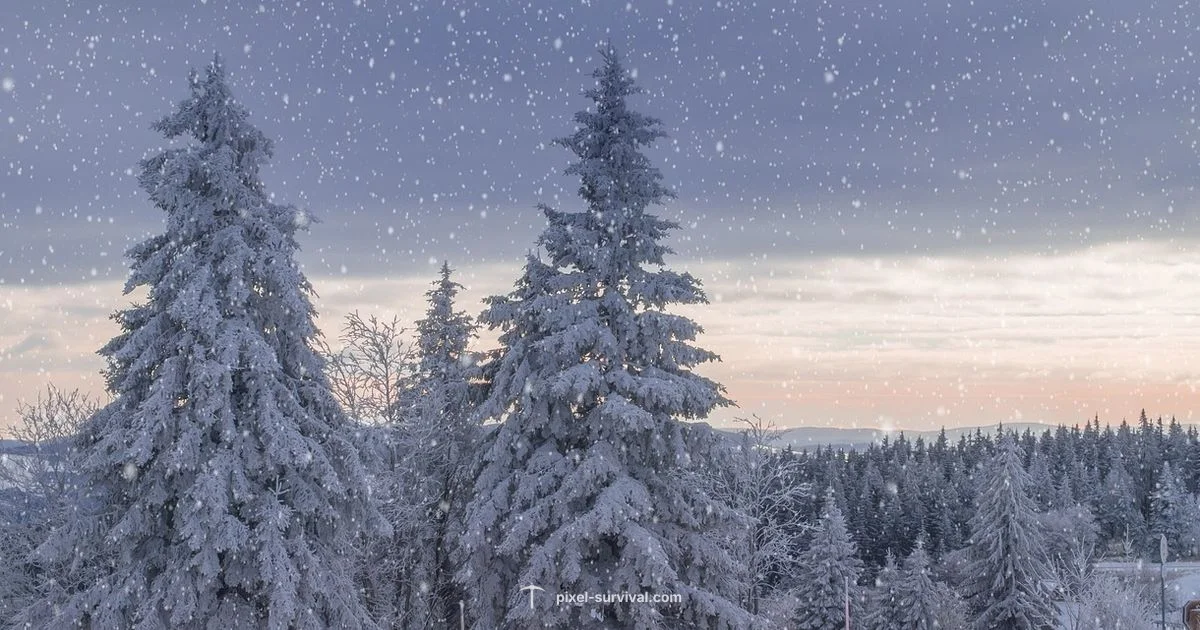 Blizzard Signs Blizzard Signs - Pixel Survival