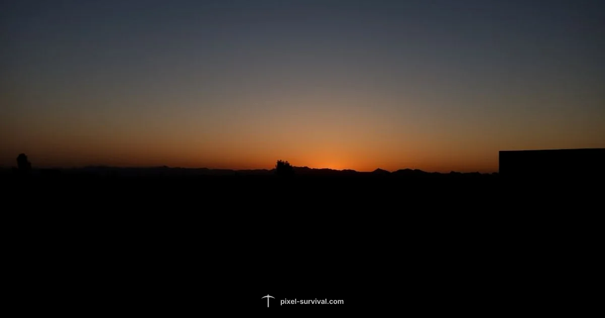 NPC Relocation Guide - Pixel Survival