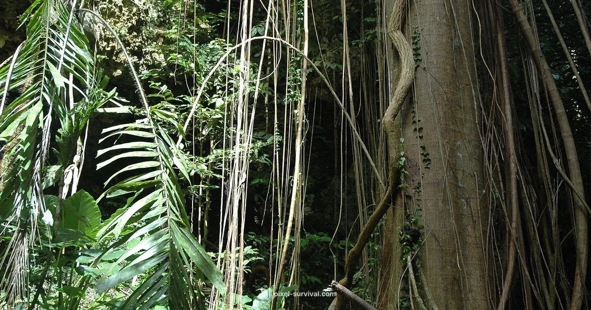 Jungle Corruption Guide - Pixel Survival