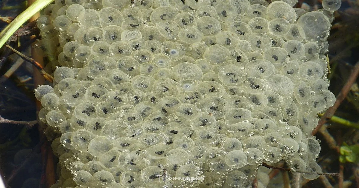 Loot-Rich Seeds - Pixel Survival