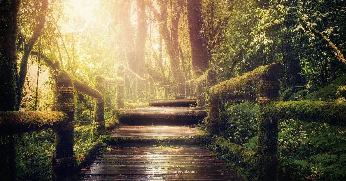 After Plantera After Plantera - Pixel Survival