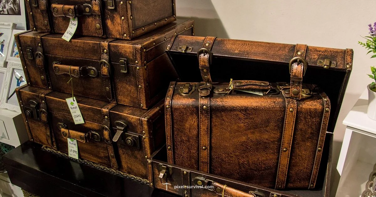 Neptune Shell Guide - Pixel Survival