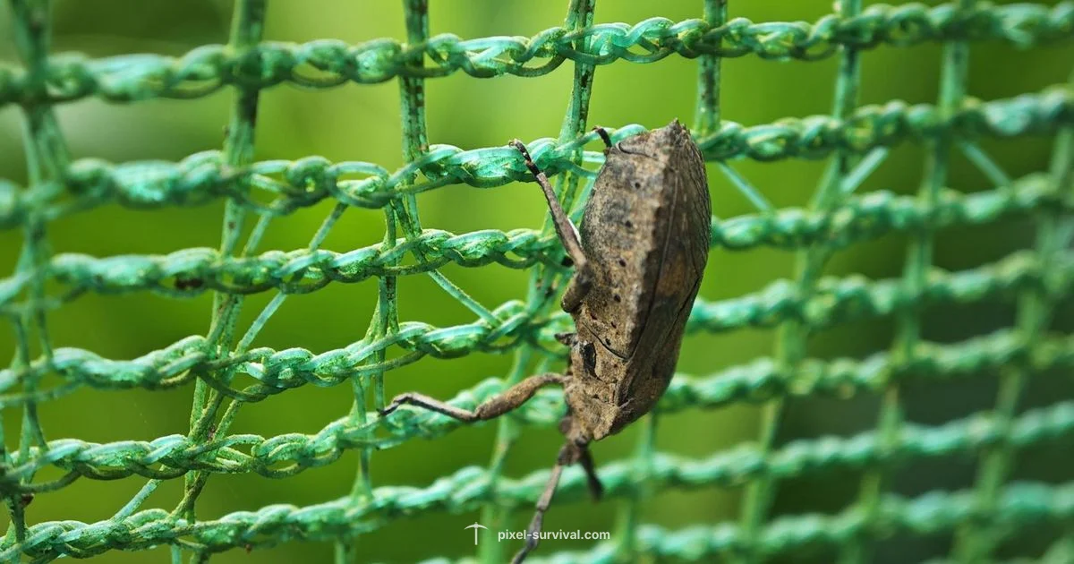 Bug Net Guide Bug Net Guide - Pixel Survival