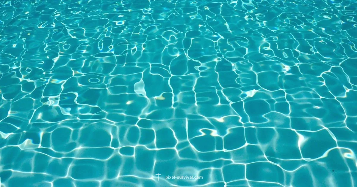 Shimmer Discovery Shimmer Discovery - Pixel Survival