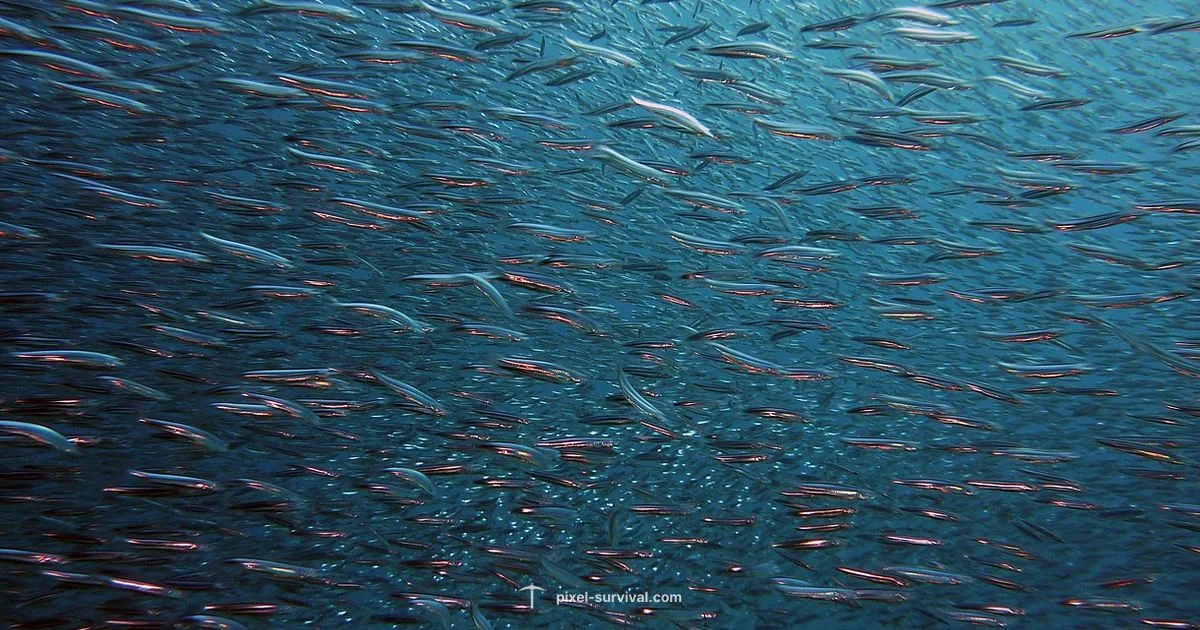 Zombie Fish Terraria Guide - Pixel Survival