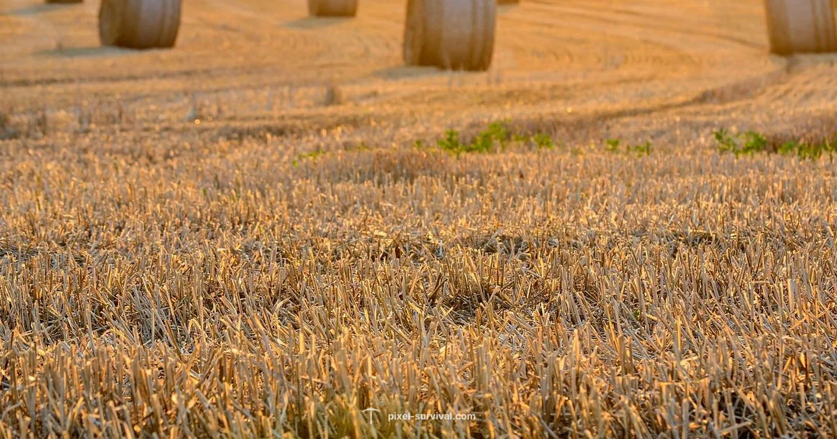 Harvest Fireblossom - Pixel Survival