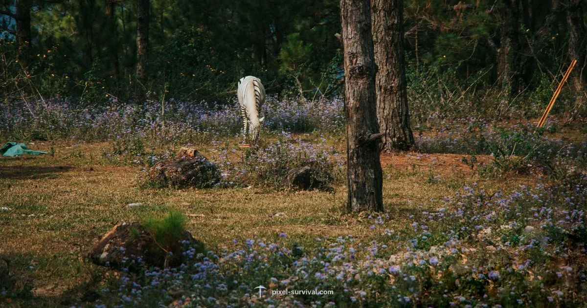 Terraria Unicorn Guide - Pixel Survival