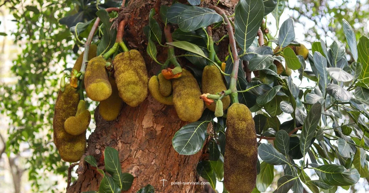 Max HP Upgrade - Pixel Survival