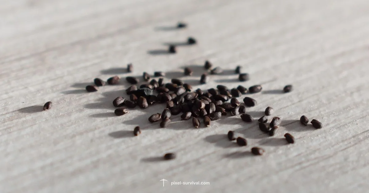 Best Seeds 2026 Best Seeds 2026 - Pixel Survival